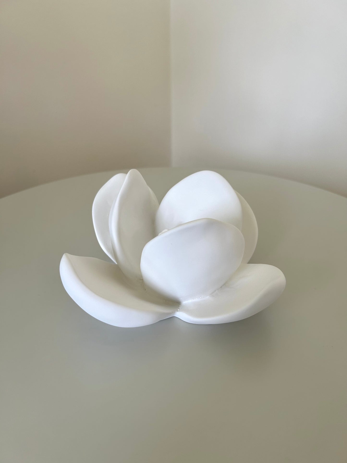 MAGNÓLIA PEQUENA . IVA VIANA