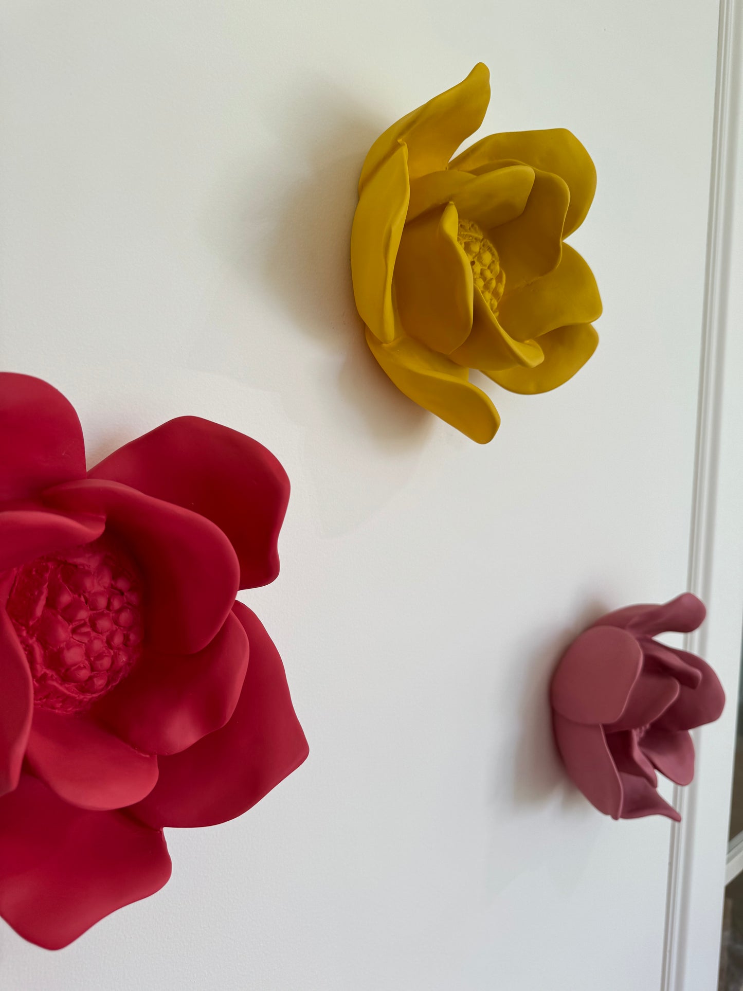 CAMÉLIA . IVA VIANA