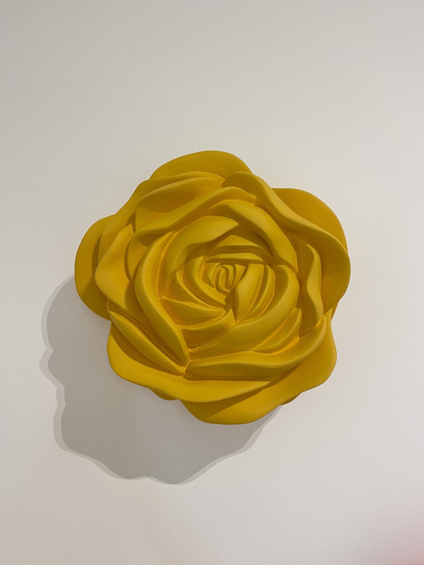 ROSA . IVA VIANA
