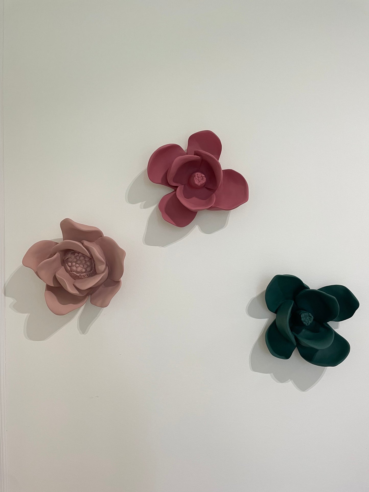 MAGNÓLIA . IVA VIANA