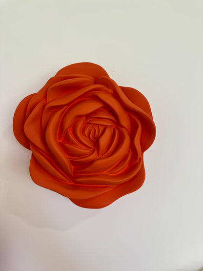 ROSA . IVA VIANA