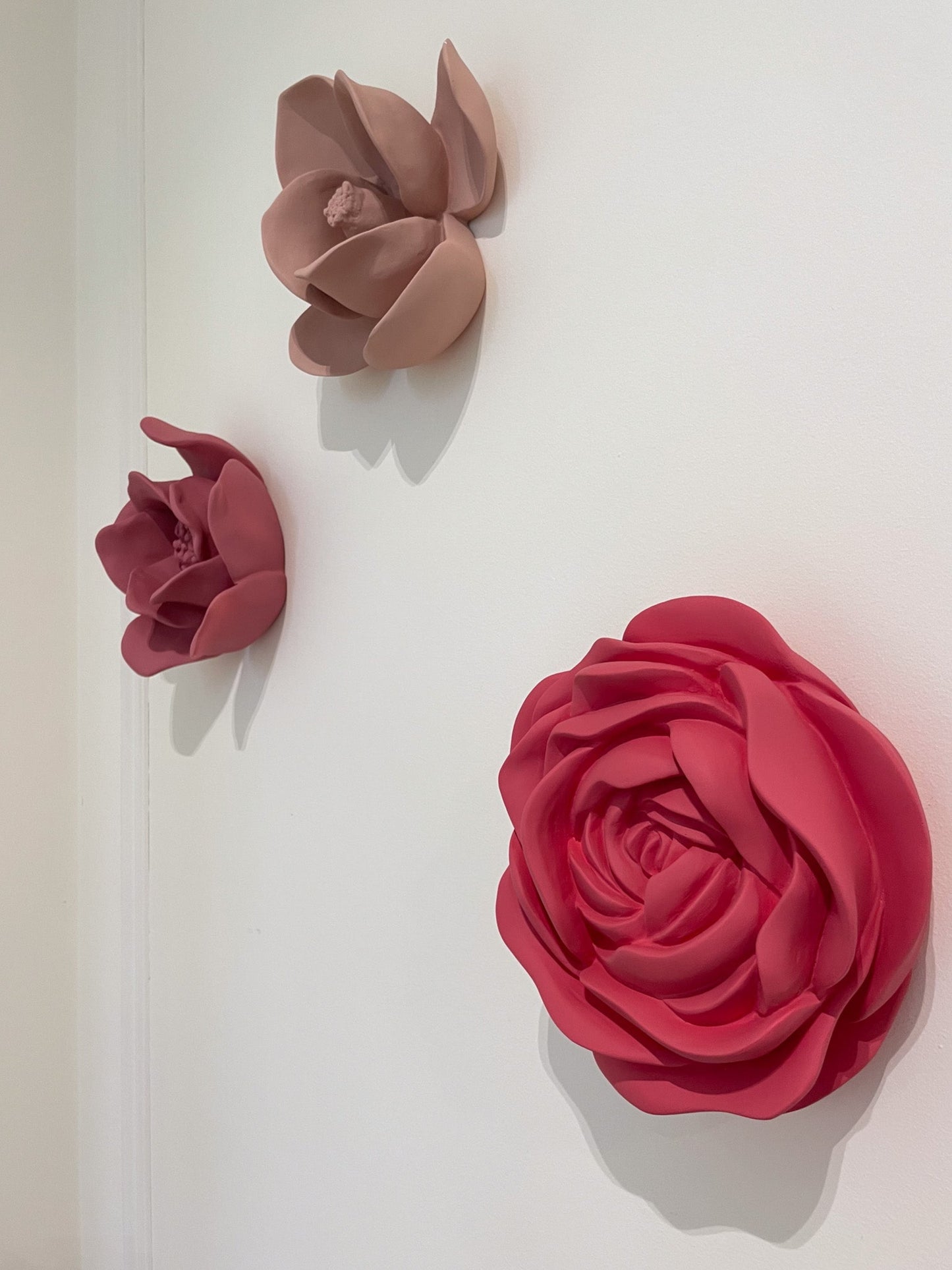 ROSA . IVA VIANA